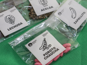 Vuelven los talleres de huerta con entrega de semillas en distintos barrios