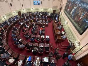 Diputados aprobó la nueva Ley Orgánica de Municipios con cambios y abre un nuevo debate en el Senado