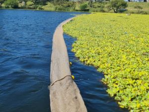 Se avanza en la limpieza del lago del Parque del Sur