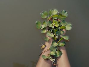 La Casa Museo César López Claro invita a la activación “Cuerpos en deriva”