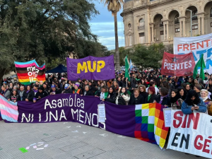 Ni Una Menos en Santa Fe: la Asamblea convocó a marchar este miércoles