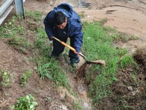 Lo que dejó la tormenta en Santa Fe: cayeron 29 árboles y más de 20 postes