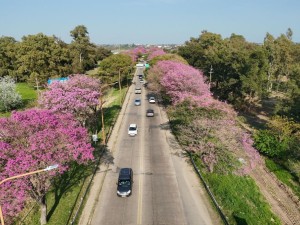Otra jornada agradable y a puro sol en Santa Fe