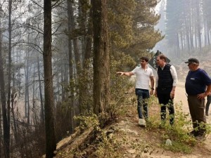 Incendios en Chubut: millonaria recompensa para dar con los responsables