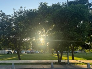 Jueves soleado: ¿A cuánto llegaría la temperatura máxima?