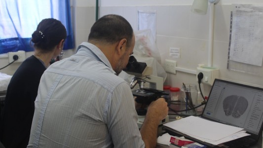 Se inviertieron más de $ 8 mil millones en ciencia y tecnología durante 2025