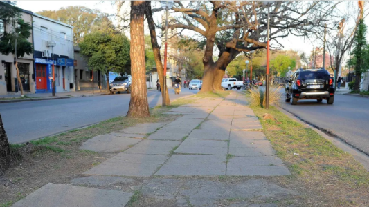 Eximirán del 50% del DReI a comercios afectados por la obra en la avenida J. J. Paso