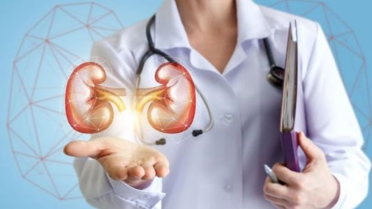 Uno de cada 8 argentinos tienen enfermedad renal crónica aunque no todos lo saben