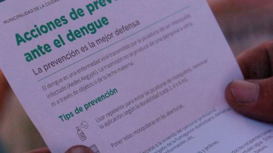 Casi cuarenta barrios de la ciudad persisten con la presencia del vector del dengue