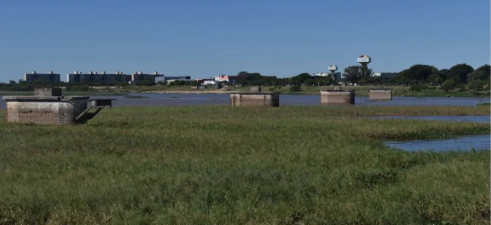 Removerán los camalotes de la Laguna Setúbal