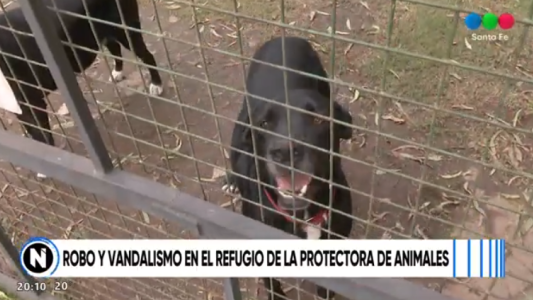 Entraron armados a una protectora, amenazaron a cuidadores y robaron alimento