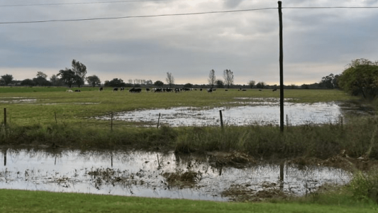 Declararon la emergencia para productores afectados por las lluvias