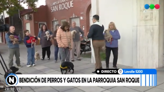 Día del Animal: emotiva bendición de perros y gatos en la Parroquia San Roque