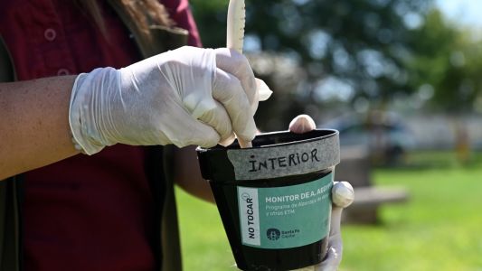 El vector del dengue se encuentra en 38 barrios de la ciudad de Santa Fe