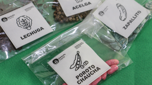 Vuelven los talleres de huerta con entrega de semillas en distintos barrios