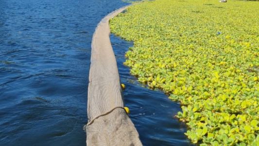 Se avanza en la limpieza del lago del Parque del Sur