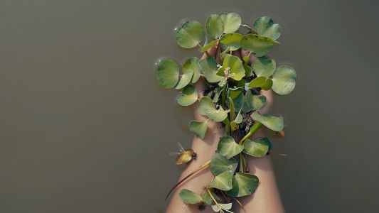 La Casa Museo César López Claro invita a la activación “Cuerpos en deriva”