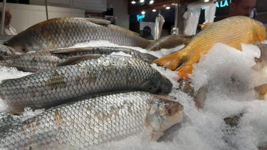 Semana Santa: ¿cuáles son las recomendaciones para consumir pescado adecuadamente?