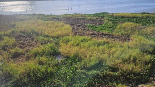 En junio se retirará el embalsado de la Laguna Setúbal