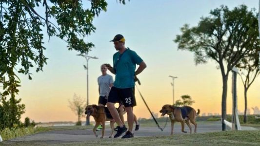 El Concejo aprobó normas vinculadas a la protección y cuidado de los animales de compañía