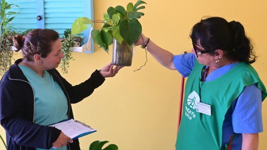 Afirman que la presencia del vector del dengue se redujo en los barrios de la ciudad