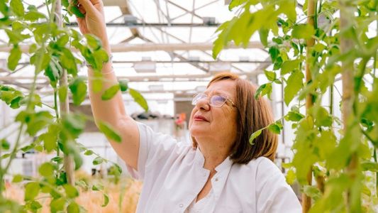 Raquel Chan ganó el premio L’Oréal-UNESCO por sus avances científicos