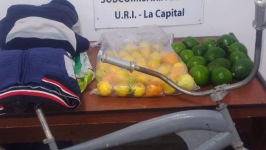 Arroyo Leyes: Entró a robar frutas de un árbol, se cayó y terminó internado y detenido