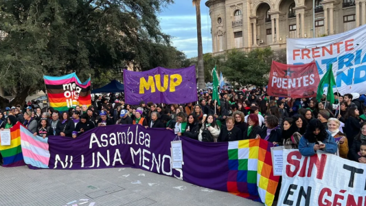 Ni Una Menos en Santa Fe: la Asamblea convocó a marchar este miércoles
