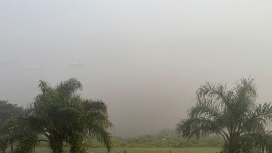 Feriado: la ciudad amaneció bajo una espesa niebla que dificulta la visibilidad