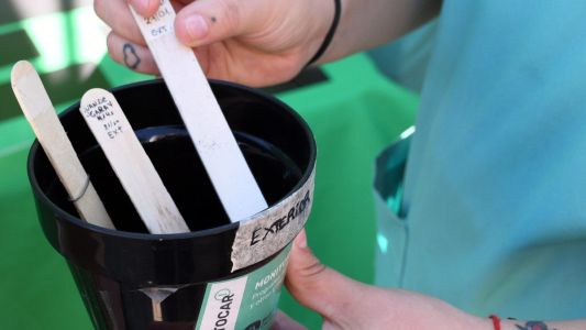 Continúa bajando la presencia del vector del dengue en los barrios de la ciudad