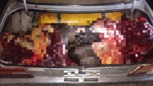 Secuestran 400 kilos de carne equina en la Ruta 5 tras una persecución