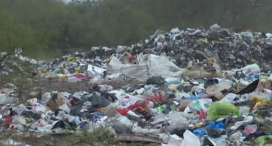 Reciclado en Rincón: el duro trabajo de una cooperativa que pide ayuda