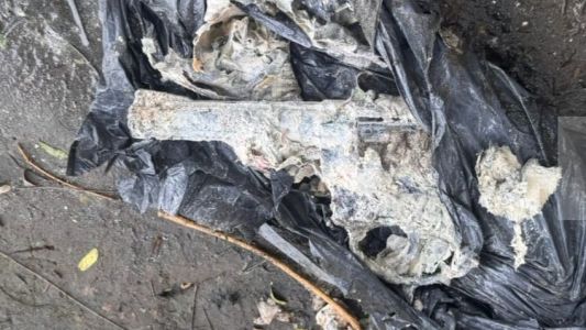 Encontraron un arma de fuego mientras pescaban en el Parque del Sur