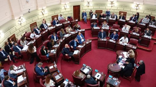 Regulación de "trapitos" en Santa Fe: Diputados aprobó el proyecto con cambios y vuelve al Senado