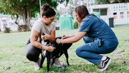 Jornada de salud, ambiente y bienestar animal en el parque Federal