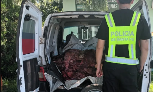 Secuestran 600 kilos de carne vacuna transportada de forma ilegal en Sauce Viejo