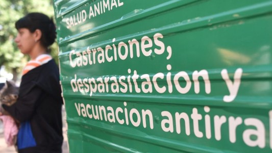 Campaña de castración y vacunación antirrábica llega a la vecinal Centenario