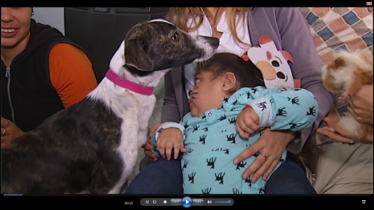 ZOOLIDARIOS CUMPLE 15 AÑOS