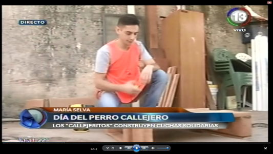 LOS PERROS CALLEJEROS TIENEN SU DÍA