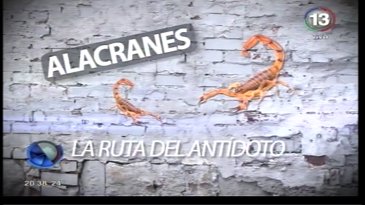ALACRANES: LA RUTA DEL ANTÍDOTO