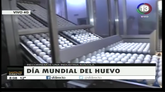 DÍA MUNDIAL DEL HUEVO