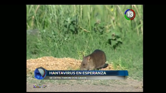 ALERTA HANTAVIRUS