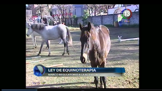 LEY DE EQUINOTERAPIA