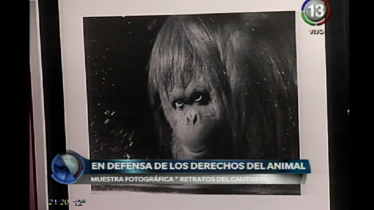 RETRATOS DE CAUTIVERIO