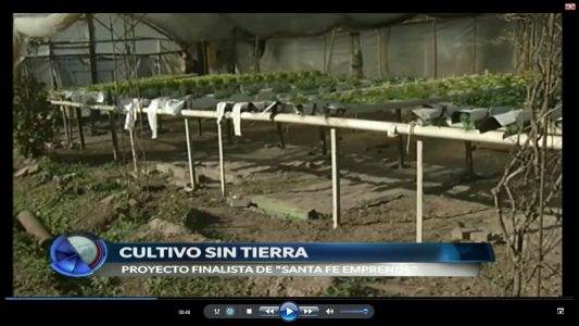 CULTIVO SIN TIERRA