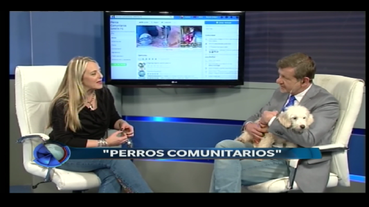 PROTECCIÓN Y AMOR POR LOS ANIMALES