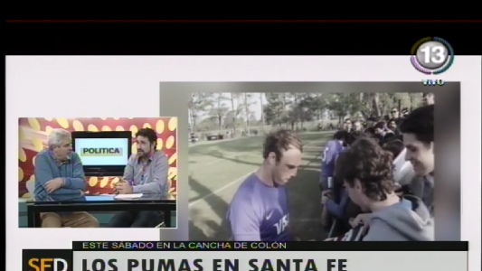 PALPITANDO LOS PUMAS-GALES