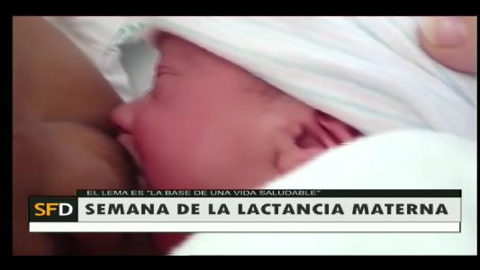 BASE DE UNA VIDA SALUDABLE