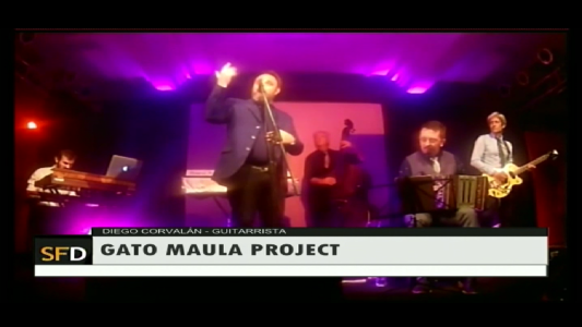 GATO MAULA PROJECT EN SANTA FE