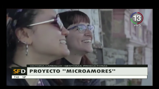 PROYECTO "MICROAMORES"